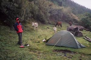 Ráno na kraji vesnice