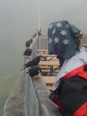 Hitchcock, to byl režisér!