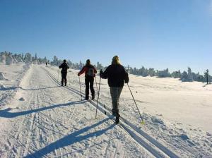 Jedem na Pěticestí
