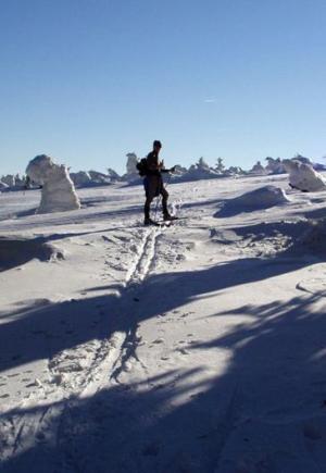 Velký lyžař Brťánek