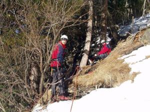 Hodíme kopyta na štandu