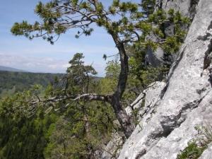 Pierre Taillée - třetí štand