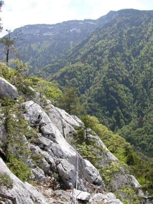 Pierre Taillée - oběd