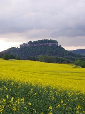 Königstein