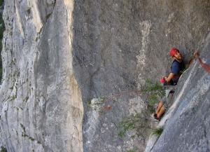 Bidlo v traverzu pod střechou1