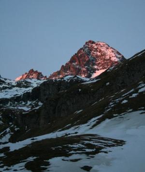 Velký "růžový" zvoník