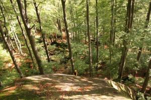 Petr Daniš:Lezení v Jizerkách