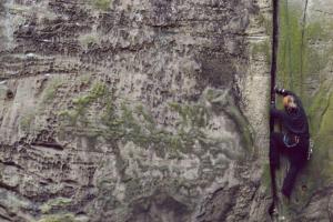 Ondřej Marek: Pískovcová spára (Bič)