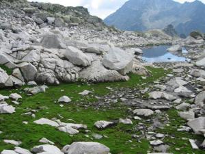 Mechová louka pod Ostrým