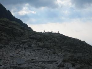 Skupina Humanitníků nastupuje pod Širokou