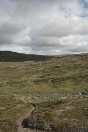 Narodni park Ovre Dividal