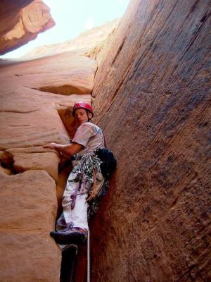 Alešák v širočině pod sokolíkem, Flight of Fancy