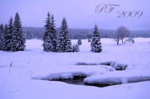 Štěpánka Pfeiferová