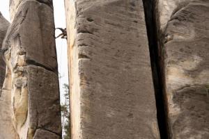 Petr Daniš: Chuť písku - Hmyz