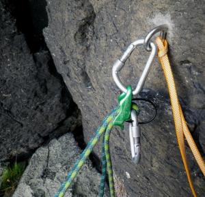 Západní hřebenovka