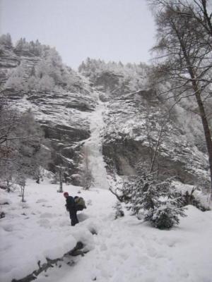 Mára v pozadí Mauerblumchen