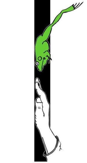 Žába a žába, vítězný návrh z roku 2006