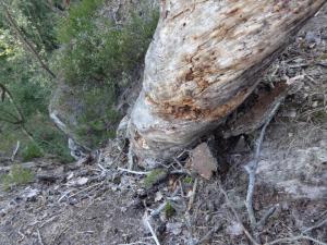 každý chvilku tahá pilku