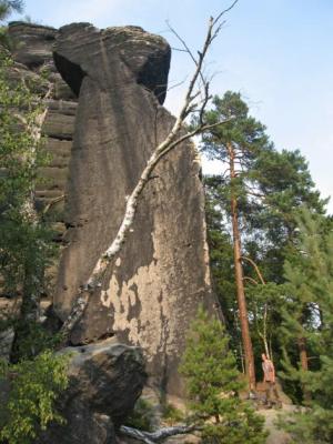 Teichsteinnadel s pěknou starou cestou