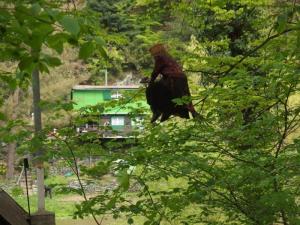 Čarodějnice na hlídce