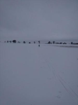 Vzdálenost, kterou Ríša ujedete než vyndám mobil