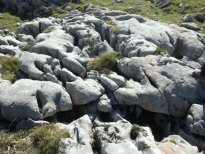 Zdejší vápencové tvary