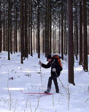 Pod skalou na Dehetníku