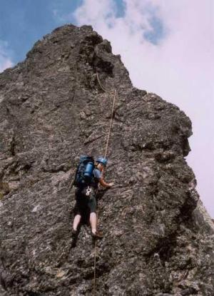 Bradavica, Vysoké Tatry