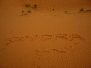 Jako konající intelektuál